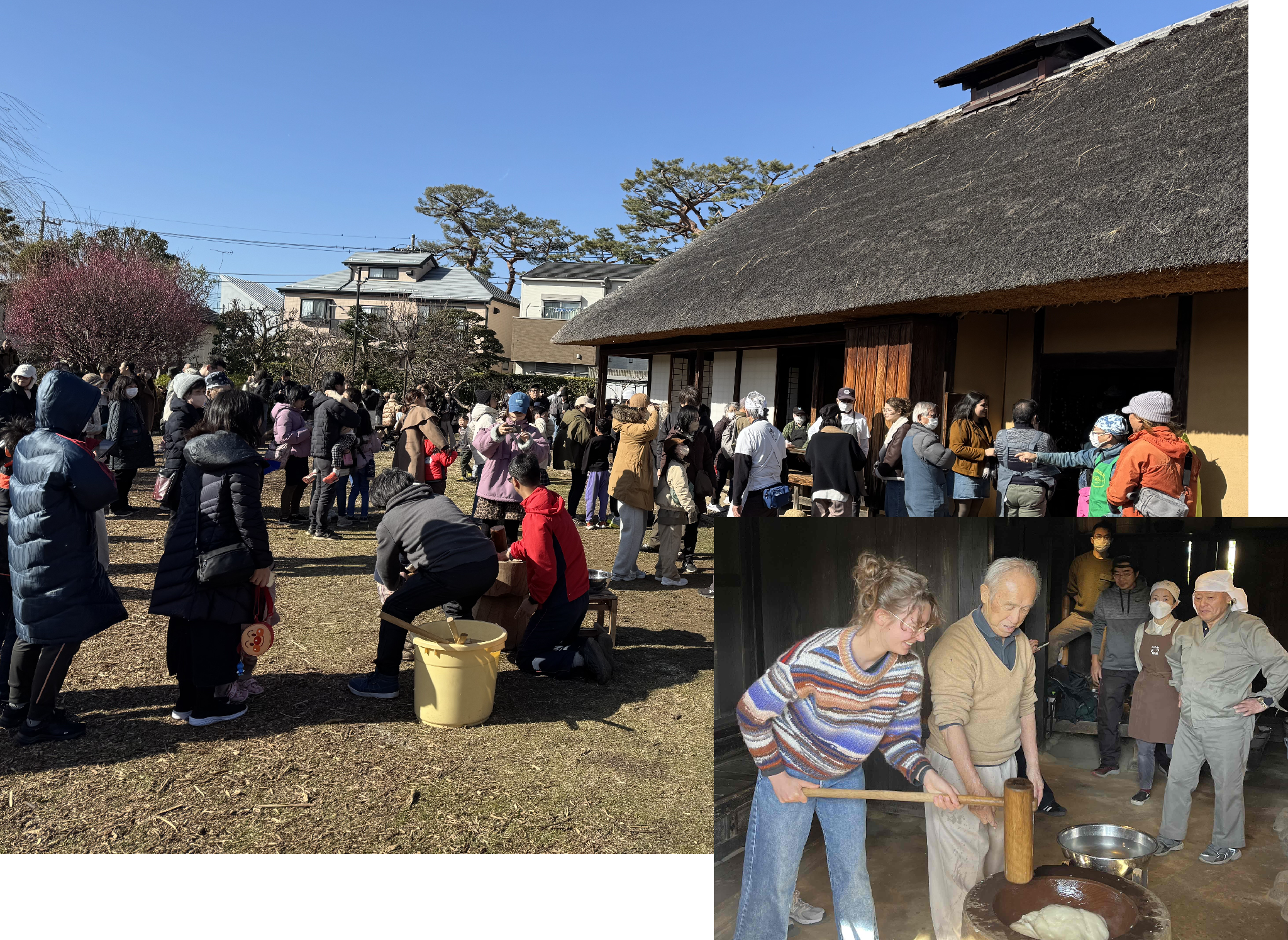 �����񍐎ʐ^